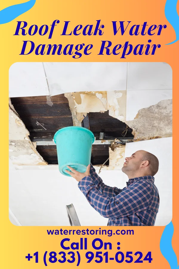 Roof Leak Water Damage Repair in Fort Pierre, SD